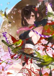  ahoge armpits bird breasts brown_hair cherry_blossoms commentary_request dutch_angle female from_below hair_between_eyes highres japanese_white-eye katana looking_at_viewer medium_breasts original sheath sheathed sideboob sleeveless solo sword tonito weapon yellow_eyes 