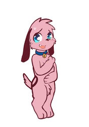  absurd_res anthro beagle blue_eyes blush canid canine canis cartoon_network collar courage_the_cowardly_dog courage_the_cowardly_dog_(character) domestic_dog fur hi_res hunting_dog looking_at_viewer male mammal nude open_mouth pink_body pink_fur raised_tail scent_hound short_tail shy simple_background smile solo standing tail tongue whiteleo 