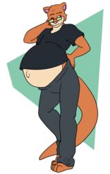  2018 absurd_res alpha_channel anthro barefoot belly big_belly biped blue_eyes bottomwear brown_body brown_fur clothing exhausted eyewear feet fur glasses hand_on_back hi_res long_tail male mammal mustelid musteline navel one_eye_closed outie_navel pants pregnant pregnant_anthro pregnant_male randomgirl1265 shirt simple_background solo sweatpants tail topwear transparent_background true_musteline weasel 