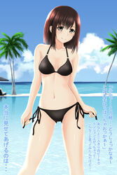  ass_visible_through_thighs bare_arms bare_shoulders beach bikini black_bikini black_hair breasts brown_eyes chair cloud commentary_request day female highres horizon legs_apart looking_at_viewer lounge_chair medium_breasts medium_hair navel nonaka_ritsu o-ring o-ring_top ocean original outdoors palm_tree shiny_skin side-tie_bikini_bottom sky smile solo standing swimsuit touka_(nonaka_ritsu) translation_request tree water 