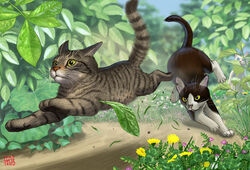  2015 animal animal_focus artist_name blurry chasing clover commentary_request dandelion depth_of_field dragon_li_cat feline flower grass leaf matataku monita_(matataku) no_humans original photoshop_(medium) realistic running signature surprised_cat_(matataku) 