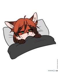  4:5 alpha_channel brown_hair brown_markings canid canine cheek_tuft chibi colored dipstick_ears dipstick_hair ear_markings facial_tuft female fox foxboy83 fur gloves_(marking) green_eyes hair hi_res ill inner_ear_fluff mammal markings multicolored_ears red_(vixen_logic) red_body red_fox red_fur red_hair solo tootaloo true_fox tuft under_covers vixen_logic white_body white_fur 