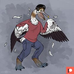  1:1 anthro avian beak bird bottomwear claws clothed clothing feathered_wings feathers feet fully_clothed hi_res human keetahspacecat long_neck male mammal membrane_(anatomy) mid_transformation open_beak open_mouth pants pelecaniform pelican shirt solo species_transformation t-shirt tail tail_feathers toes topwear transformation webbed_feet wings 