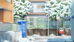  artist_name building cherry_tree commentary_request day door fence highres instagram_username isbeyvan japan lamppost no_humans original outdoors postbox_(outgoing_mail) power_lines road scenery shadow snow street traffic_mirror tree utility_pole watermark window winter 