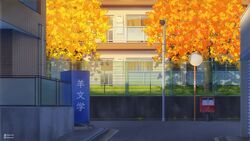  artist_name autumn building cherry_tree commentary_request door fence highres instagram_username isbeyvan japan lamppost no_humans original outdoors postbox_(outgoing_mail) power_lines road scenery shadow street sunset traffic_mirror tree utility_pole watermark window 