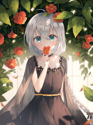  ahoge arm_at_side bad_id bad_pixiv_id bare_arms black_cape black_dress black_ribbon blue_eyes blush braid braided_ponytail cape choker covered_mouth dappled_sunlight day dress female flower flower_over_mouth grey_hair hair_between_eyes hair_ribbon hand_up highres holding holding_flower long_hair looking_at_viewer low_ponytail original petals plant ribbon sash see-through single_braid sleeveless sleeveless_dress solo spi standing straight-on sunlight trumpet_creeper upper_body 