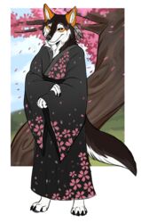  absurd_res anthro asian_clothing canid canine canis cherry_blossom cherry_blossom_tree cherry_tree clothing danywolf east_asian_clothing flower fruit_tree hi_res japanese_clothing kimono male mammal peachan plant prunus_(flower) solo srpeachy tree wolf 