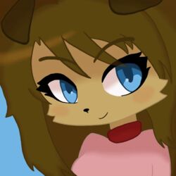  1:1 animated anthro blinking blue_eyes blush brown_hair canid canine canis clothing collar domestic_dog female hair harper_(yeetboi420z) mammal short_playtime smile sweater topwear yeetboi420z 