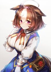  :3 ahoge animal_ears bag between_breasts blue_dress breasts brown_hair closed_mouth collared_shirt commentary dress ears_down female gloves hairband highres horse_ears horse_girl horse_tail large_breasts looking_at_viewer meisho_doto_(umamusume) multicolored_hair nihudau puffy_sleeves purple_eyes shirt short_hair shoulder_bag smile solo strap_between_breasts streaked_hair tail two-tone_hair umamusume white_gloves white_shirt 