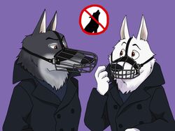  2016 anthro canid canine canis disney duo fur gary_(zootopia) grey_body grey_fur larry_(zootopia) male mammal muzzle_(object) muzzled norarikrr white_body white_fur wire_basket_muzzle wolf zootopia 