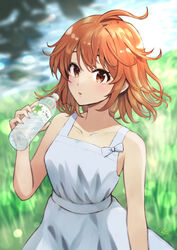  bare_arms bottle bow brand_name_imitation brown_eyes brown_hair collarbone dress female floating_hair grass highres holding holding_bottle i_lohas isshiki_iroha kashiiyou medium_hair name_connection open_mouth outdoors sleeveless sleeveless_dress solo standing sundress water_bottle white_bow white_dress yahari_ore_no_seishun_lovecome_wa_machigatteiru. 