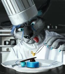  2016 absurd_res anthro arcturus_(arcturusthechusky) black_nose blue_claws blue_eyes blue_hair canid canine canis cheetah chef chef_hat claws clothed clothing concentration cooking dessert detailed detailed_background detailed_food domestic_dog felid feline food forceps fur grey_body grey_fur hair hat headgear headwear hi_res husky hybrid kitchen male mammal medical_instrument molecural_gastronomy nordic_sled_dog pink_tongue plate restaurant scientific_instrument solo spitz surgical_instrument swish tongue tongue_out toque tweezers uniform whiskers 