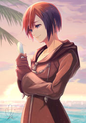  black_coat black_coat_(kingdom_hearts) black_gloves black_hair blue_eyes closed_mouth cloud coat commentary_request female gloves highres holding hood hood_down kingdom_hearts kingdom_hearts_358/2_days long_sleeves mike_(mike-neko-chip) ocean seashell shell signature smile solo sun sunset water xion_(kingdom_hearts) zipper zipper_pull_tab 