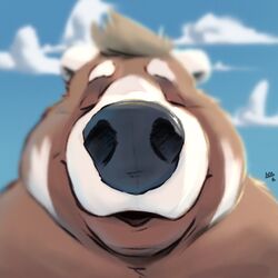  1:1 2021 ailurid anthro bear big_nose biped black_nose black_text blurred_background brown_body brown_fur brown_markings bust_portrait cheek_tuft closed_eyes cloud day digital_drawing_(artwork) digital_media_(artwork) digital_painting_(artwork) eyebrows facial_markings facial_tuft first_person_view front_view fur fur_markings fur_tuft grey_hair hair head_markings headshot_portrait hi_res hybrid icon kissing kissing_pov male mammal markings minedoo minedoo_(character) multicolored_body multicolored_fur nude offscreen_character open_mouth outside portrait red_panda short_hair signature sky slightly_chubby slightly_chubby_male smile solo standing text tuft two_tone_body two_tone_fur white_body white_eyebrows white_eyes white_fur white_markings 