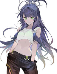  absurdres black_pants closed_mouth commentary cowboy_shot crop_top crop_top_overhang female green_eyes hands_in_pockets highres long_hair looking_at_viewer low-tied_long_hair midriff navel original pants purple_hair seoji simple_background smirk solo tank_top v-shaped_eyebrows white_background white_tank_top 