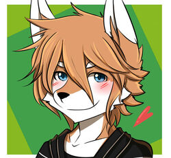  2014 anthro black_nose blue_eyes blush border brown_body brown_fur brown_hair canid canine canis cheek_tuft clothed clothing dipstick_ears domestic_dog ear_markings facial_tuft fur green_background hair heart_symbol looking_at_viewer male mammal multicolored_body multicolored_ears multicolored_fur saku1saya shirt simple_background smile solo topwear tuft two_tone_body two_tone_fur white_body white_border white_fur windows_(saku1saya) 