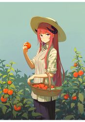  absurdres alternate_costume arknights bagpipe_(arknights) basket black_pants blue_background blue_eyes blue_sky blunt_bangs blush closed_mouth collared_shirt cowboy_shot day dhsl dragon_horns female food fruit harvest highres holding holding_food holding_fruit horns letterboxed long_hair looking_at_viewer orange_hair outdoors pants plant shirt short_sleeves simple_background sky smile solo straight_hair striped_clothes striped_shirt tomato vertical-striped_clothes vertical-striped_shirt very_long_hair white_shirt yellow_headwear 