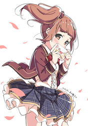  blazer blue_skirt blush bow bowtie brown_eyes brown_hair brown_jacket checkered_clothes checkered_skirt covering_own_mouth envelope female frilled_shirt frilled_skirt frills hairbow hands_up heart holding holding_envelope idolmaster idolmaster_cinderella_girls idolmaster_cinderella_girls_starlight_stage igarashi_kyoko jacket kuresuku_(lessons) long_hair long_sleeves looking_at_viewer love_letter love_letter_(idolmaster) open_clothes open_jacket petals red_bow red_bowtie shirt side_ponytail sidelocks sideways_glance skirt solo thighs translation_request white_background white_shirt wind 