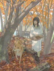  apron autumn autumn_leaves bad_id bad_pixiv_id basket black_hair canine commentary female japanese_clothes kappougi kimono long_sleeves mushroom original outdoors photoshop_(medium) shiba_inu short_hair sidelocks solo tree yasawa_kichi 