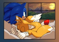  absurd_res anthro canid canine clothing duo eulipotyphlan footwear fox fur gloves grass handwear hedgehog hi_res male mammal mountain pillow plant sega sleeping sonic_the_hedgehog sonic_the_hedgehog_(series) starampharos sun tails window 