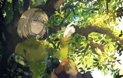  bad_id bad_pixiv_id bird bird_on_hand blonde_hair blue_eyes branch breasts checkered commentary_request female headband in_tree leaf medium_breasts open_mouth qniokun saronia_a_irivika short_hair sitting sitting_in_tree solo toaru_majutsu_no_index toaru_majutsu_no_index:_new_testament tree turtleneck 