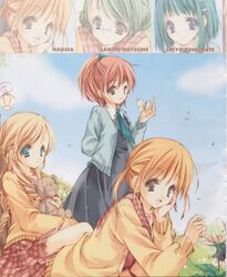  aoi_nagisa byakudan_kagome hyuuga_kizuna maki_chitose natsume_remon seifuku strawberry_panic tsukidate_chiyo 