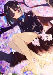  arm_support bare_legs bare_legs_girl_(kamizaki_hibana) barefoot black_hair black_shirt blazer blue_bow blue_bowtie blurry blurry_background blush bow bowtie branch cherry_blossoms closed_mouth collared_shirt commentary_request depth_of_field female full_body jacket kamizaki_hibana legs long_sleeves looking_at_viewer medium_hair original parted_bangs purple_eyes shirt sidelocks sitting skirt solo thighs two_side_up uniform 