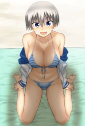  :d bare_shoulders barefoot beach beach_towel bikini blue_bikini blue_eyes blue_jacket blush breasts cleavage collarbone commentary female from_above front-tie_bikini_top front-tie_top grey_hair groin hair_between_eyes hatakenaka_(kamagabuchi) highres jacket large_breasts looking_at_viewer looking_up multicolored_clothes multicolored_jacket navel nervous nervous_sweating oerba_yun_fang off_shoulder on_ground open_clothes open_jacket open_mouth sand shaded_face shadow short_hair sitting skin_fang smile solo string_bikini striped_bikini striped_clothes sweat swimsuit thigh_gap towel two-tone_bikini two-tone_jacket upturned_eyes uzaki-chan_wa_asobitai! uzaki_hana wariza white_bikini white_jacket worried 