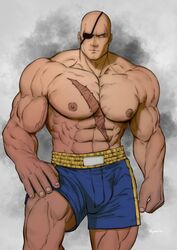  1boy abs bald bara biceps blank_eyes broad_shoulders closed_mouth eyepatch hand_on_own_knee highres hydaria large_pectorals looking_at_viewer male_focus manly mature_male muscular muscular_male nipples obliques pectorals sagat scar scar_on_chest scar_on_stomach shorts solo stomach street_fighter thick_arms thick_thighs thighs topless_male veins veiny_arms white_eyes 