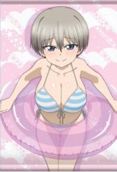  bad_link bare_shoulders bent_over bikini blue_bikini blue_eyes blush breasts cleavage closed_mouth collarbone commentary cowboy_shot female front-tie_bikini_top front-tie_top grey_hair hair_between_eyes holding holding_swim_ring innertube large_breasts leaning_forward looking_at_viewer narrowed_eyes naughty_face navel official_art pink_background promotional_art raised_eyebrows scan scan_artifacts see-through short_hair side-tie_bikini_bottom smile solo string_bikini striped_bikini striped_clothes swim_ring swimsuit take_(shokumu-taiman) thigh_gap third-party_source uzaki-chan_wa_asobitai! uzaki_hana white_background white_bikini 