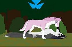  alpha_and_omega better_version_at_source black_body black_fur canid canine canis darthgoldstar710 detailed_background duo female feral forest fur hutch low_res lying male mammal on_back outside pink_body pink_fur plant tree wolf 