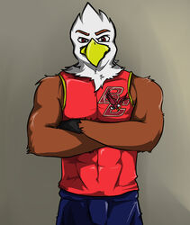  accipitrid accipitriform anthro arrwulf avian bald_eagle baldwin_the_eagle beak bird boston_college brown_body brown_feathers college_football eagle feathers looking_at_viewer male mascot ncaa sea_eagle solo white_body white_feathers 