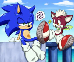  anthro better_version_at_source blue_hair canid canine canis chihuahua chip_(sonic) clothing domestic_dog eulipotyphlan footwear fur gloves green_eyes hair handwear hedgehog legwear male mammal sega shoppaaaa socks sonic_the_hedgehog sonic_the_hedgehog_(series) sonic_the_werehog sonic_unleashed toy_dog wings 