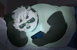  2022 anthro bear bed belly big_belly black_body black_nose blue_eyes bottomwear cellphone clothing electronics eyewear furniture giant_panda glasses hi_res humanoid_hands kemoniku120 kemono lying male mammal overweight overweight_male phone pillow sasayama_akira shirt shorts smartphone solo topwear vtuber white_body 