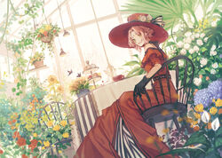  bare_shoulders belt black_gloves black_ribbon boruto:_naruto_next_generations braid breasts bug butterfly chair chinese_commentary choker commentary conservatory cup dress female flower flower_pot food frilled_dress frills garden gloves green_eyes hanging_light hanging_plant hat hat_flower hat_ornament highres hydrangea indoors lace_trim long_dress looking_at_viewer looking_to_the_side naruto_(series) orange_flower parted_lips pastry pink_hair plant potted_plant purple_flower red_dress red_flower red_hat red_rose ribbon rose sakura_haruno senryoko short_hair sitting small_breasts solo spathiphyllum sunflower table tablecloth teacup teapot tiered_tray vines white_flower white_rose window yellow_flower yellow_rose 