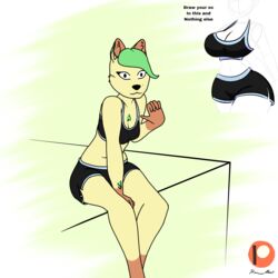  1:1 anthro athletic_wear black_bottomwear black_bra black_clothing black_shorts black_underwear bottomwear bra breasts brown_body brown_fur chest_tuft clothed clothing dangling_legs draw_your_ocs_in_this_challenge eeveelution female fur generation_4_pokemon green_hair gym_bottomwear gym_shorts hair hi_res how-about leaf leaf_hair leafeon looking_at_viewer nintendo plant plant_hair pokemon pokemon_(species) pseudo_hair rayda_(how-about) shorts sitting skimpy smile solo sports_bra sportswear tuft underwear yellow_body yellow_fur 