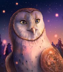  avian barn_owl bird brown_body brown_feathers detailed_background feathers feral guardians_of_ga&#039;hoole hi_res hintowl male night owl solo soren_(gogh) tyto tytonid white_body white_feathers yellow_eyes 