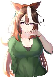  animal_ears bespectacled bracelet breasts brown_hair cleavage closed_mouth commentary_request earrings female glasses green_shirt hair_between_eyes highres horse_ears horse_girl jewelry large_breasts long_hair looking_at_viewer mmm_(mmm623) multicolored_hair official_alternate_costume purple_eyes semi-rimless_eyewear shirt simple_background single_earring smile solo streaked_hair symboli_rudolf_(umamusume) umamusume very_long_hair white_background white_hair 