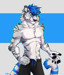  2018 absurd_res antrage athletic biceps blue_eyes blue_hair bottomwear clothed clothing felid fur grey_body grey_fur hair hi_res macan macan_(character) male mammal muscular pantherine paws pecs shorts simple_background smile smirk solo stripes tiger topless 