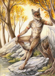 2014 anthro biped black_nose bodypaint bottomwear canid canine canis claws clothed clothing coyote detailed_background digitigrade facial_paint forest fur grass hindpaw leaning loincloth looking_at_viewer male mammal markings nature navel off_the_beaten_path outside paws piercing plant ransom river rock rukis solo standing tan_body tan_fur topless tree tribal tribal_markings