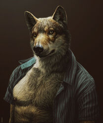 abs anthro black_nose brown_body brown_eyes brown_fur canid canine canis clothed clothing detailed detailed_fur fur grey_body grey_fur hi_res kannos looking_at_viewer male mammal muscular muscular_anthro muscular_male nipples open_clothing open_shirt open_topwear partially_clothed pecs pose realistic realistic_anthro shirt solo topwear wolf