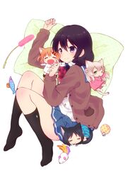  4girls =_= animal_ears black_hair black_legwear blonde_hair bow bowtie brown_hair cat_ears cat_hair_ornament cat_teaser closed_eyes commentary_request cuddling curled_up green_eyes hair_ornament hairclip jacket kneehighs konagai_yuuko lying maa_(nyanko_days) mini_person minigirl multiple_girls no_shoes nyanko_days oerba_yun_fang official_art on_side one_eye_closed open_mouth pillow purple_eyes purple_hair rou_(nyanko_days) shii_(nyanko_days) skirt sleeping smile socks tail tarabagani thighs toy 