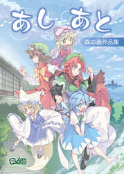  5girls aged_down animal_ears blue_hair cat_ears chen cirno comiket_79 commentary_request cover cover_page day doujin_cover earrings fox_tail hong_meiling jewelry lolicon morino_hon multiple_girls nail_polish oerba_yun_fang outdoors photoshop_(medium) pink_nails role_reversal tail touhou yakumo_ran yakumo_yukari 