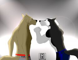 anthro canid canine canis clothed clothing crossover digital_media_(artwork) domestic_dog duo fur gangstaguru hair hige_(wolf&#039;s_rain) male mammal mixed_martial_arts mma shiroi_senshi_yamato spotlight standing staredown swimming_trunks swimwear tom-tom topless wolf wolf&#039;s_rain