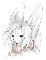 2014 anthro aya canid canine clothing female fennec_fox fox mammal savannah_horrocks sketch solo sweater topwear true_fox