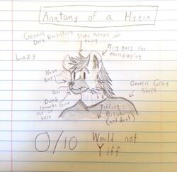 anthro diagram directional_arrow english_text graphite_(artwork) hi_res humor hyena male mammal notebook_paper_background pencil_(artwork) riho_(artist) solo spotted_hyena text traditional_media_(artwork)