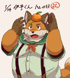  2024 anthro aotadobukitch belly bodily_fluids canid canine clothing food fox fruit hi_res iyo_(tamacolle) japanese_text kemono male mammal orange_(fruit) orange_body overweight overweight_male plant shirt simple_background solo sweat tamacolle text topwear 