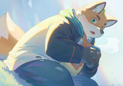  2024 absurd_res anthro bottomwear canid canine clothing fox hi_res hoodie humanoid_hands iyo_(tamacolle) kemono male mammal orange_body outside overweight overweight_male pants seamonsterping shirt sitting solo tamacolle topwear 