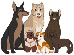  2015 age_difference alaskan_malamute aliasing alternate_species ambiguous_gender american_pit_bull_terrier black_body black_fur black_nose blue_eyes brown_body brown_countershading brown_eyes brown_fur brown_nose button_ears canid canine canis collar collar_tag countershading cropped_ears digital_drawing_(artwork) digital_media_(artwork) digitigrade dobermann domestic_cat domestic_dog fae_(serenity) felid feline felis female_(lore) feral flat_colors floppy_ears fur green_eyes grey_eyes group head_bow heart_collar_tag hunting_dog jasper_(serenity) looking_at_viewer looking_up lop_ears male_(lore) mammal microsoft_paint_(artwork) nordic_sled_dog open_mouth open_smile orange_body orange_fur paws pink_bow pink_collar pink_nose pink_tongue pinscher pit_bull polaroid_(serenity) prick_ears rodger_(serenity) saul_(serenity) sebdoggo serenity_(comic) shih_tzu simple_background sitting smile spitz standing tail tan_body tan_fur tan_nose terrier tongue toy_dog white_background white_body white_fur young young_ambiguous young_feral zeke_(serenity) 