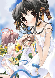  3girls backless_dress backless_outfit blush brown_eyes brown_hair butt_crack cloud day dress flower hair_ribbon hose ito_noizi komorebi_ni_yureru_tamashii_no_koe kouenji_ayana leaning_forward lowleg lowleg_panties multiple_girls outdoors panties pantyshot ribbon short_hair short_twintails sky standing strap_slip sui_(komorebi) sunflower tachibana_koharu tears twintails underwear walking white_panties wince wind wind_lift 